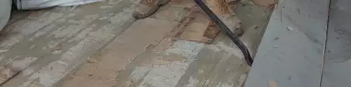 Strip Out